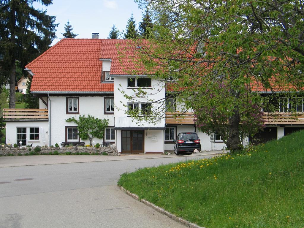 Hotel Pension Tannenheim Schluchsee Exterior foto